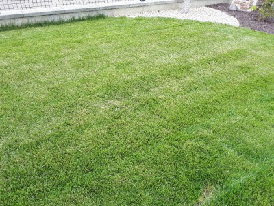 20170727_161114.jpg
