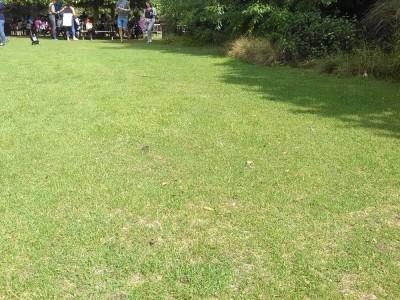 IMG_20170813_121016.jpg