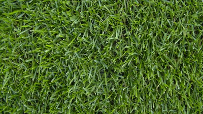 PIC_1005.JPG