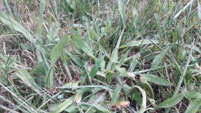 20170818_153549[1].jpg
