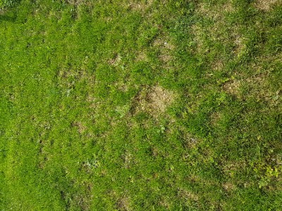 20170824_145304.jpg