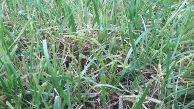 20170902_115447.jpg