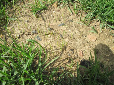 IMG_2871.JPG