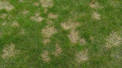 20170903_163415.jpg