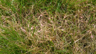 20170903_163401.jpg