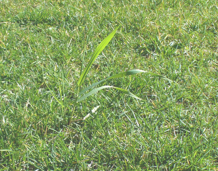P1050317.JPG