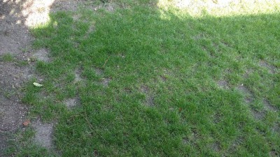 IMG_20170921_173723995.jpg