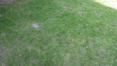 IMG_20170921_173751870.jpg