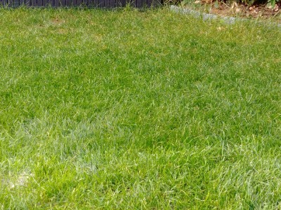 20170923_170648.jpg