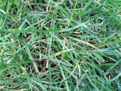 20170923_180332.jpg