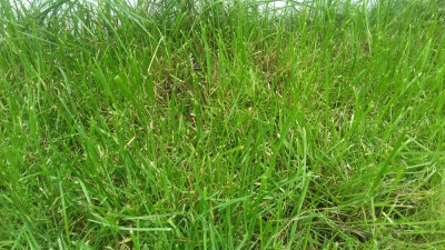 20171002_125022.jpg