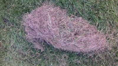 20171002_141941.jpg
