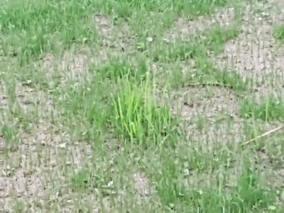 20171002_192144.jpg