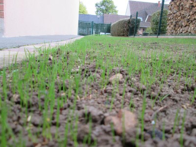 IMG_2895.JPG
