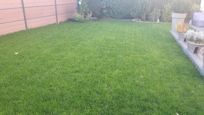 20171006_182111.jpg