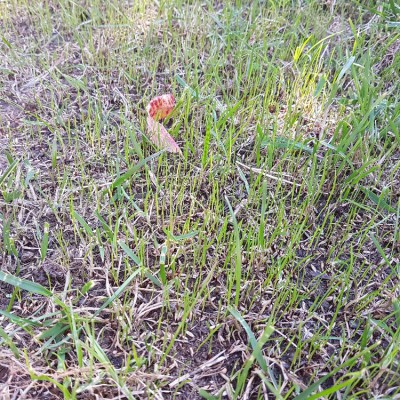 20171008_142055.jpg