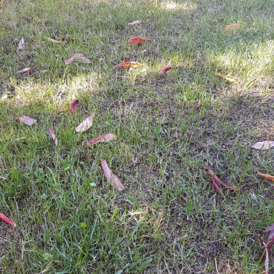 20171008_142028.jpg