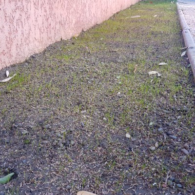 20171008_141955.jpg