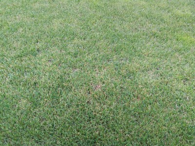IMG_20171015_183431.jpg