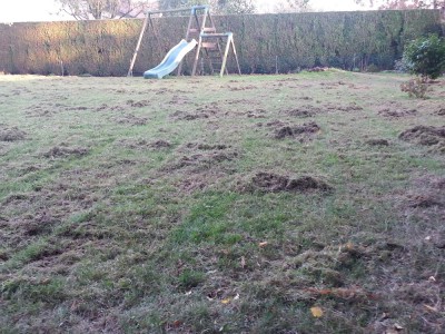 20171014_181806.jpg