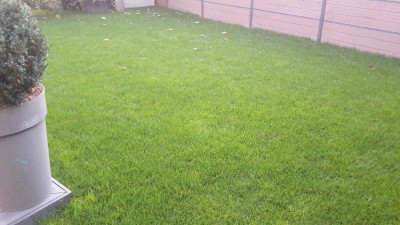 20171017_190657.jpg