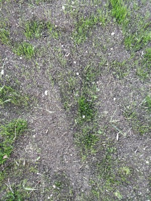 IMG_20171018_174042.jpg