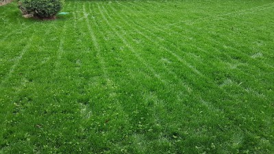20171021_121410.jpg