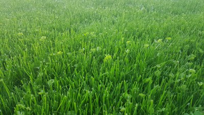 20171024_082353.jpg