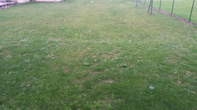 20171025_174619.jpg