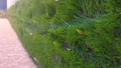 20171025_153854.jpg