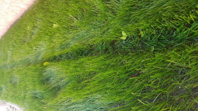 20171025_153835.jpg