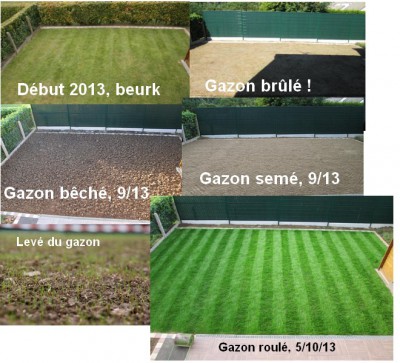 Gazon suivi.jpg