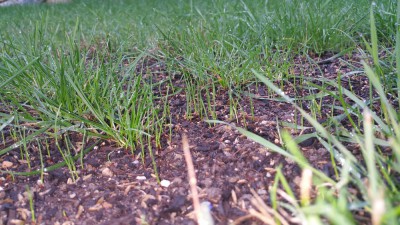 20171030_083738.jpg
