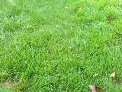 IMG_20171028_130403.jpg