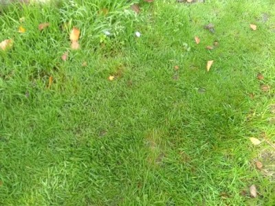 IMG_20171028_130108.jpg