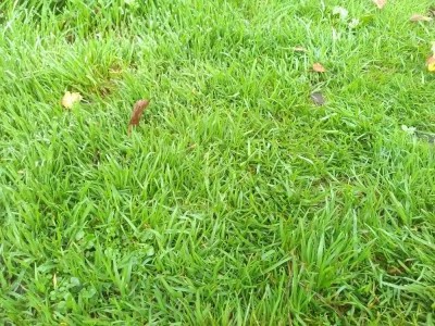 IMG_20171028_130101.jpg