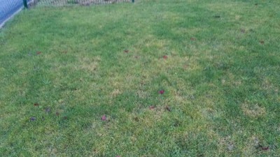 IMG_20171112_165707.jpg