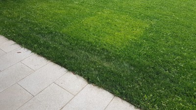 20171118_110855.jpg
