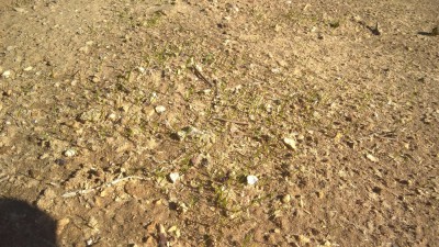 WP_20171119_13_51_47_Pro.jpg
