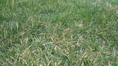 20171230_094008.jpg