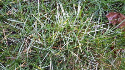 20180112_083307.jpg