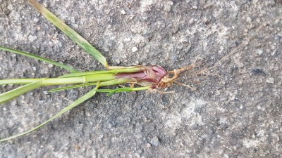 20180210_173652.jpg