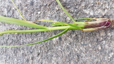 20180210_173725.jpg