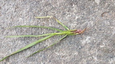 20180210_173644.jpg