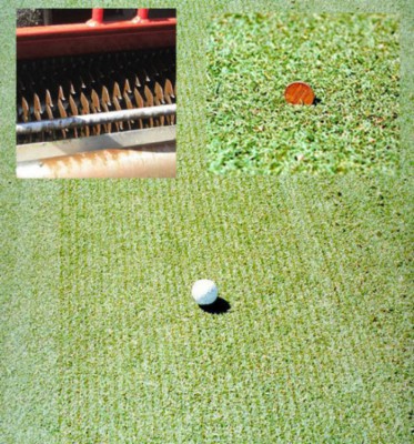 verticutting%20jfm%20004%20with%20two%20insets.jpg