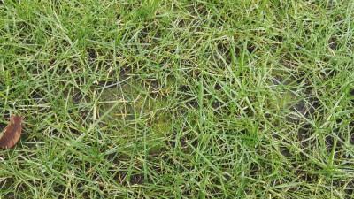 IMG_20180303_112430[1].jpg