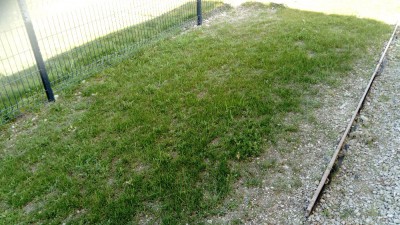 DSC_2315.JPG