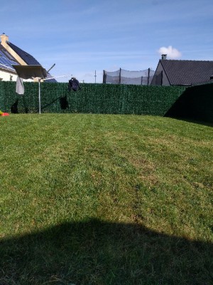 IMG_20180314_120658.jpg