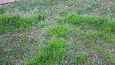20180311_182820.jpg