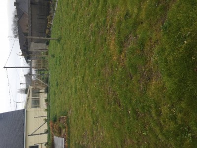 IMG-0730.JPG